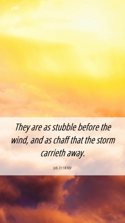 Picture 06 - Job 21:18 KJV Mobile Phone Wallpaper - They are as stubble before the wind, and as chaff - Mobile Bible Verse Wallpaper