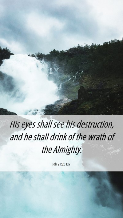 Picture 06 - Job 21:20 KJV Mobile Phone Wallpaper - His eyes shall see his destruction, and he shall - Mobile Bible Verse Wallpaper