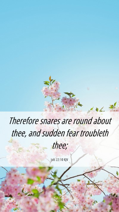 Picture 06 - Job 22:10 KJV Mobile Phone Wallpaper - Therefore snares are round about thee, and sudden - Mobile Bible Verse Wallpaper