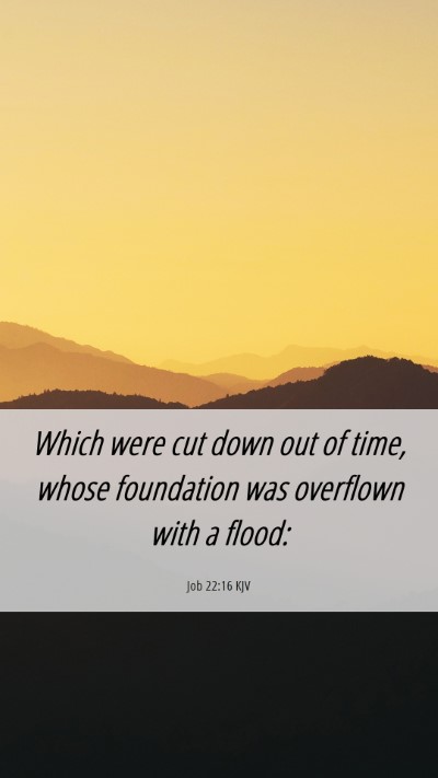 Picture 06 - Job 22:16 KJV Mobile Phone Wallpaper - Which were cut down out of time, whose foundation - Mobile Bible Verse Wallpaper