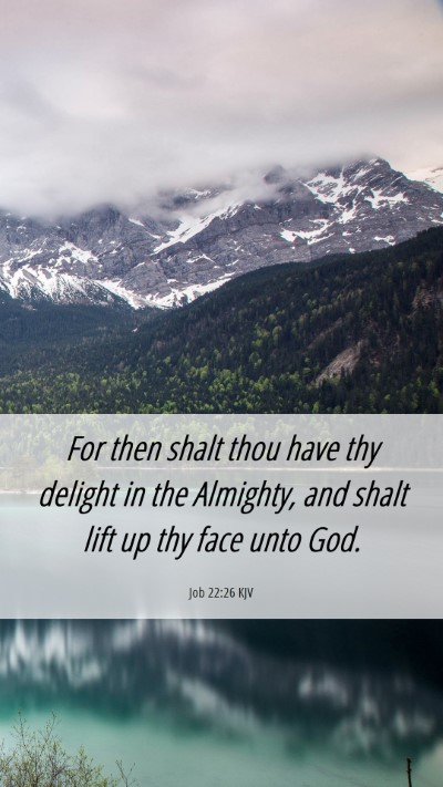 Picture 06 - Job 22:26 KJV Mobile Phone Wallpaper - For then shalt thou have thy delight in the - Mobile Bible Verse Wallpaper