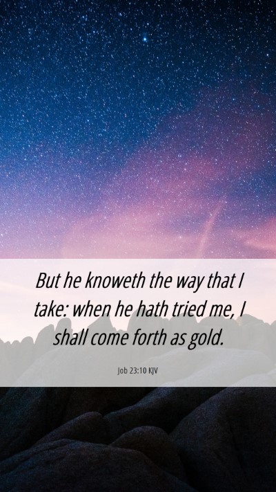 Picture 06 - Job 23:10 KJV Mobile Phone Wallpaper - But he knoweth the way that I take: when he hath - Mobile Bible Verse Wallpaper