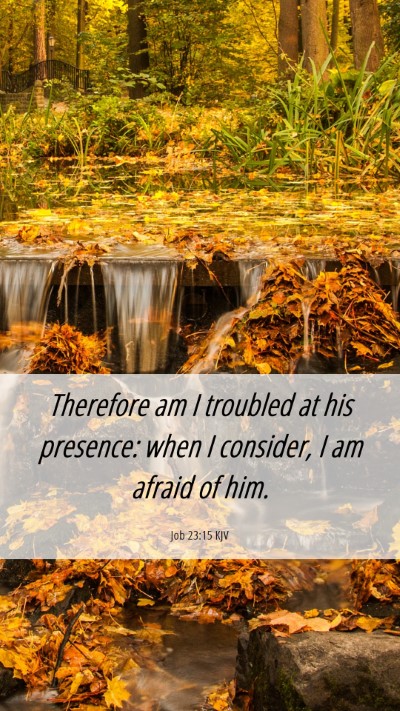Picture 06 - Job 23:15 KJV Mobile Phone Wallpaper - Therefore am I troubled at his presence: when I - Mobile Bible Verse Wallpaper