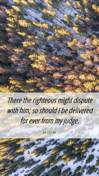 Picture 06 - Job 23:7 KJV Mobile Phone Wallpaper - There the righteous might dispute with him; so - Mobile Bible Verse Wallpaper