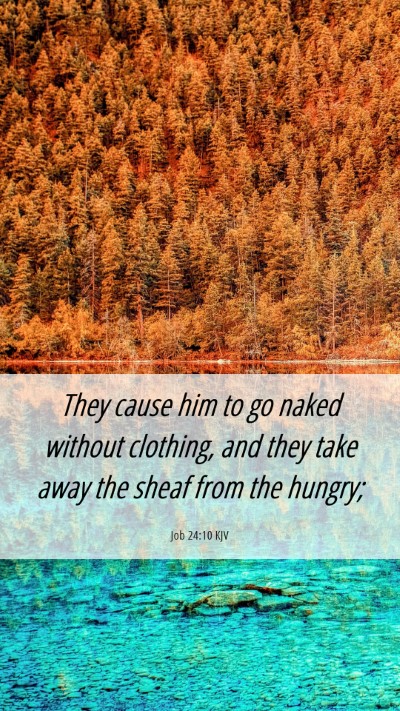 Picture 06 - Job 24:10 KJV Mobile Phone Wallpaper - They cause him to go naked without clothing, and - Mobile Bible Verse Wallpaper
