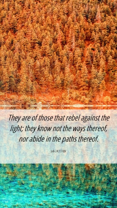 Picture 06 - Job 24:13 KJV Mobile Phone Wallpaper - They are of those that rebel against the light; - Mobile Bible Verse Wallpaper
