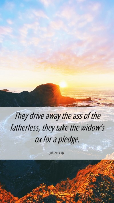Picture 06 - Job 24:3 KJV Mobile Phone Wallpaper - They drive away the ass of the fatherless, they - Mobile Bible Verse Wallpaper