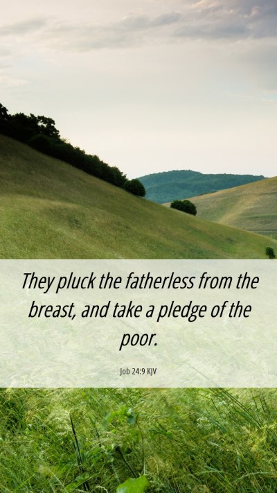Picture 06 - Job 24:9 KJV Mobile Phone Wallpaper - They pluck the fatherless from the breast, and - Mobile Bible Verse Wallpaper