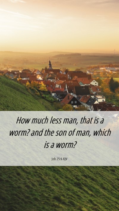 Picture 06 - Job 25:6 KJV Mobile Phone Wallpaper - How much less man, that is a worm? and the son of - Mobile Bible Verse Wallpaper