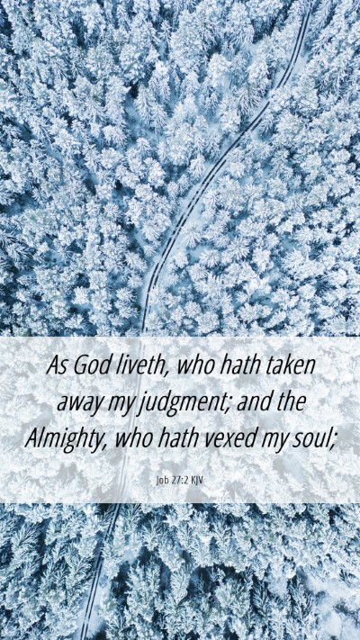 Picture 06 - Job 27:2 KJV Mobile Phone Wallpaper - As God liveth, who hath taken away my judgment; - Mobile Bible Verse Wallpaper
