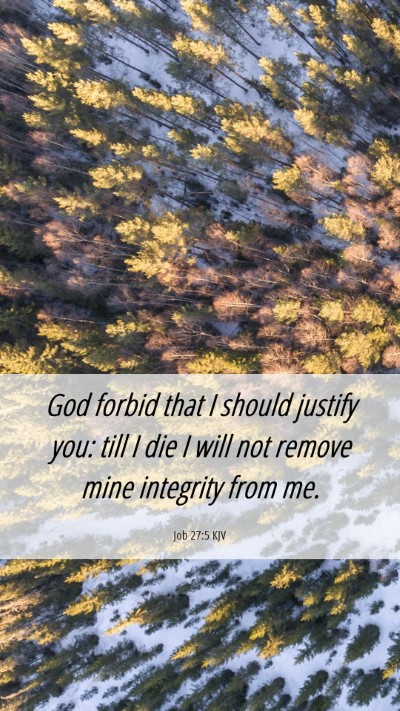 Picture 06 - Job 27:5 KJV Mobile Phone Wallpaper - God forbid that I should justify you: till I die - Mobile Bible Verse Wallpaper