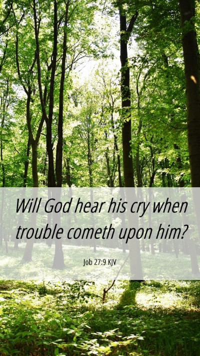 Picture 06 - Job 27:9 KJV Mobile Phone Wallpaper - Will God hear his cry when trouble cometh upon - Mobile Bible Verse Wallpaper