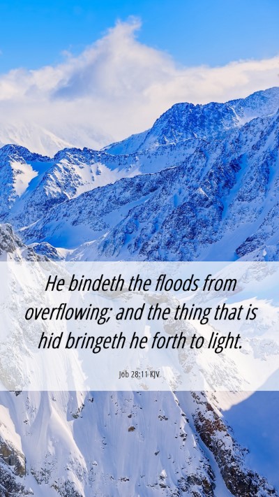 Picture 06 - Job 28:11 KJV Mobile Phone Wallpaper - He bindeth the floods from overflowing; and the - Mobile Bible Verse Wallpaper