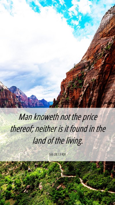 Picture 06 - Job 28:13 KJV Mobile Phone Wallpaper - Man knoweth not the price thereof; neither is it - Mobile Bible Verse Wallpaper