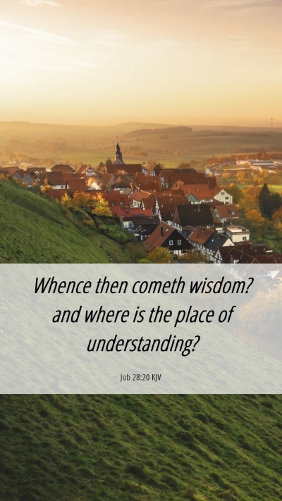 Picture 06 - Job 28:20 KJV Mobile Phone Wallpaper - Whence then cometh wisdom? and where is the place - Mobile Bible Verse Wallpaper