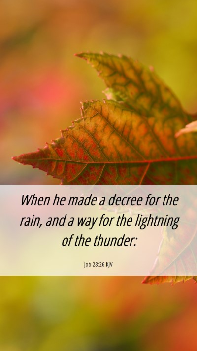 Picture 06 - Job 28:26 KJV Mobile Phone Wallpaper - When he made a decree for the rain, and a way for - Mobile Bible Verse Wallpaper