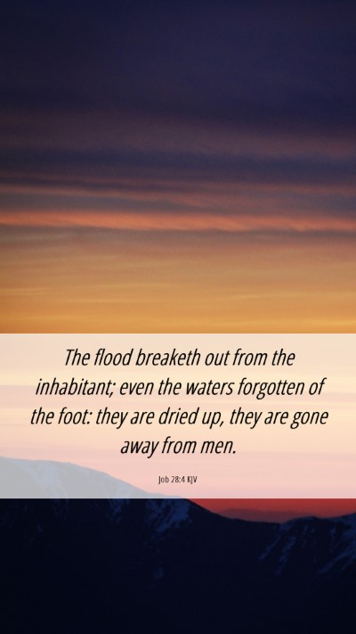 Picture 06 - Job 28:4 KJV Mobile Phone Wallpaper - The flood breaketh out from the inhabitant; even - Mobile Bible Verse Wallpaper