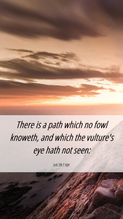 Picture 06 - Job 28:7 KJV Mobile Phone Wallpaper - There is a path which no fowl knoweth, and which - Mobile Bible Verse Wallpaper