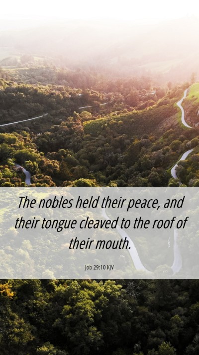 Picture 06 - Job 29:10 KJV Mobile Phone Wallpaper - The nobles held their peace, and their tongue - Mobile Bible Verse Wallpaper