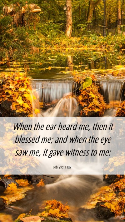 Picture 06 - Job 29:11 KJV Mobile Phone Wallpaper - When the ear heard me, then it blessed me; and - Mobile Bible Verse Wallpaper