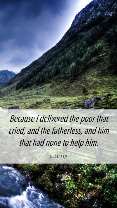 Picture 06 - Job 29:12 KJV Mobile Phone Wallpaper - Because I delivered the poor that cried, and the - Mobile Bible Verse Wallpaper