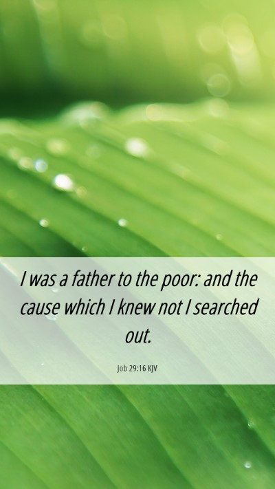 Picture 06 - Job 29:16 KJV Mobile Phone Wallpaper - I was a father to the poor: and the cause which I - Mobile Bible Verse Wallpaper