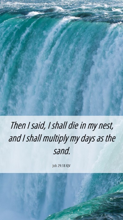 Picture 06 - Job 29:18 KJV Mobile Phone Wallpaper - Then I said, I shall die in my nest, and I shall - Mobile Bible Verse Wallpaper