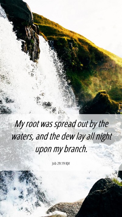 Picture 06 - Job 29:19 KJV Mobile Phone Wallpaper - My root was spread out by the waters, and the dew - Mobile Bible Verse Wallpaper