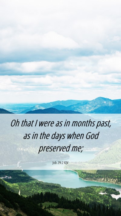 Picture 06 - Job 29:2 KJV Mobile Phone Wallpaper - Oh that I were as in months past, as in the days - Mobile Bible Verse Wallpaper