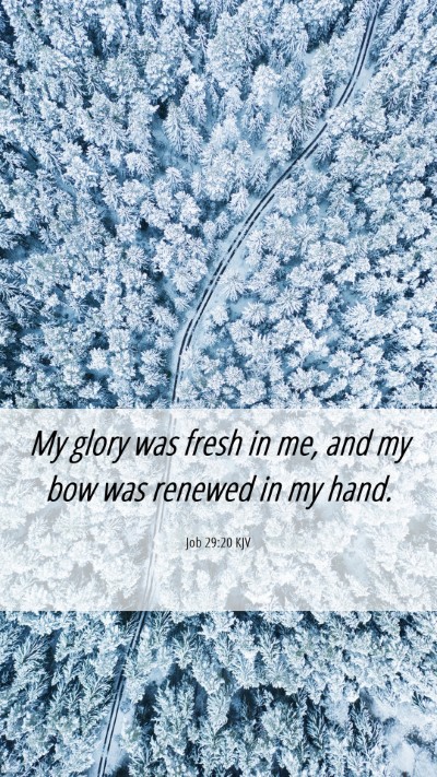 Picture 06 - Job 29:20 KJV Mobile Phone Wallpaper - My glory was fresh in me, and my bow was renewed - Mobile Bible Verse Wallpaper