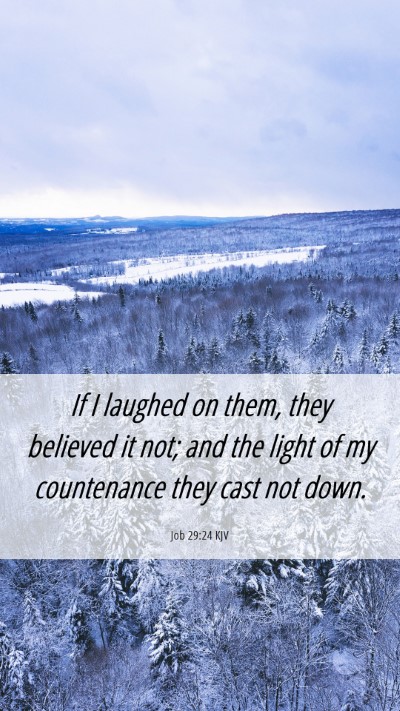 Picture 06 - Job 29:24 KJV Mobile Phone Wallpaper - If I laughed on them, they believed it not; and - Mobile Bible Verse Wallpaper