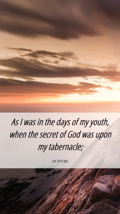 Picture 06 - Job 29:4 KJV Mobile Phone Wallpaper - As I was in the days of my youth, when the secret - Mobile Bible Verse Wallpaper