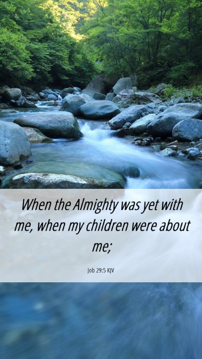 Picture 06 - Job 29:5 KJV Mobile Phone Wallpaper - When the Almighty was yet with me, when my - Mobile Bible Verse Wallpaper