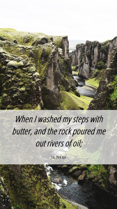 Picture 06 - Job 29:6 KJV Mobile Phone Wallpaper - When I washed my steps with butter, and the rock - Mobile Bible Verse Wallpaper