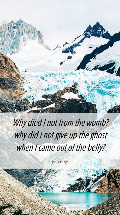 Picture 06 - Job 3:11 KJV Mobile Phone Wallpaper - Why died I not from the womb? why did I not give - Mobile Bible Verse Wallpaper