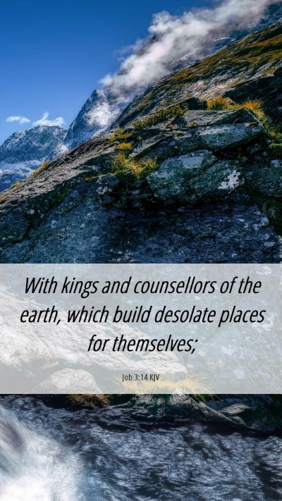 Picture 06 - Job 3:14 KJV Mobile Phone Wallpaper - With kings and counsellors of the earth, which - Mobile Bible Verse Wallpaper