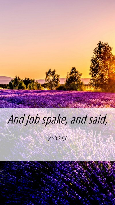 Picture 06 - Job 3:2 KJV Mobile Phone Wallpaper - And Job spake, and - Mobile Bible Verse Wallpaper