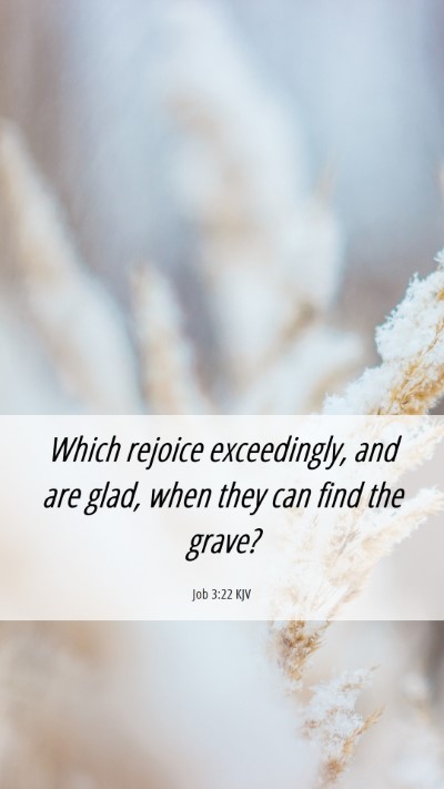 Picture 06 - Job 3:22 KJV Mobile Phone Wallpaper - Which rejoice exceedingly, and are glad, when - Mobile Bible Verse Wallpaper