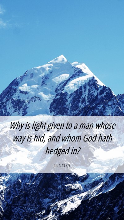 Picture 06 - Job 3:23 KJV Mobile Phone Wallpaper - Why is light given to a man whose way is hid, and - Mobile Bible Verse Wallpaper