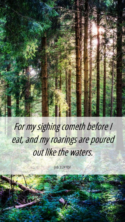 Picture 06 - Job 3:24 KJV Mobile Phone Wallpaper - For my sighing cometh before I eat, and my - Mobile Bible Verse Wallpaper