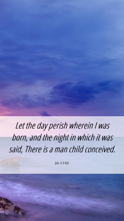 Picture 06 - Job 3:3 KJV Mobile Phone Wallpaper - Let the day perish wherein I was born, and the - Mobile Bible Verse Wallpaper