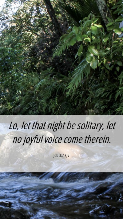 Picture 06 - Job 3:7 KJV Mobile Phone Wallpaper - Lo, let that night be solitary, let no joyful - Mobile Bible Verse Wallpaper