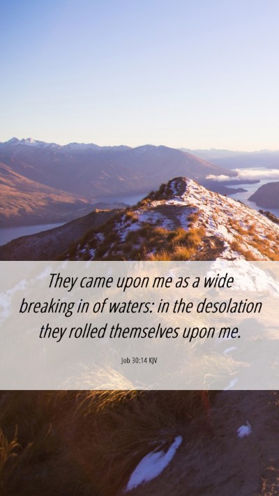 Picture 06 - Job 30:14 KJV Mobile Phone Wallpaper - They came upon me as a wide breaking in of - Mobile Bible Verse Wallpaper