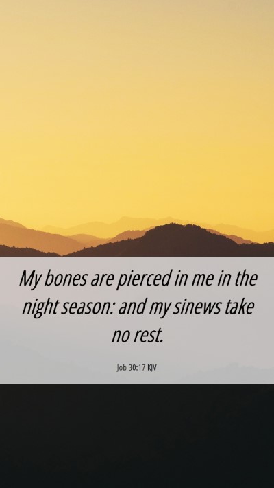 Picture 06 - Job 30:17 KJV Mobile Phone Wallpaper - My bones are pierced in me in the night season: - Mobile Bible Verse Wallpaper