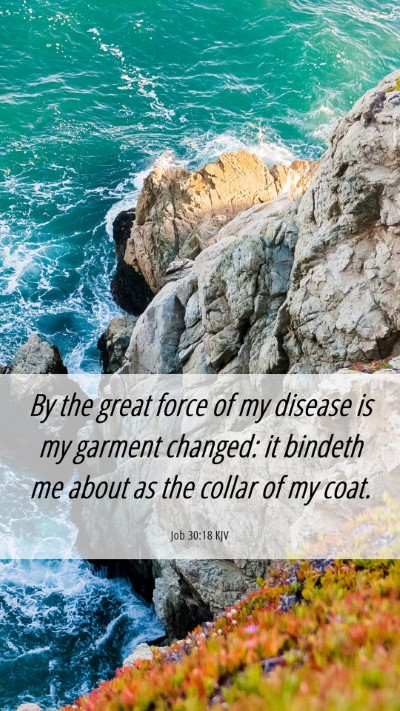 Picture 06 - Job 30:18 KJV Mobile Phone Wallpaper - By the great force of my disease is my garment - Mobile Bible Verse Wallpaper