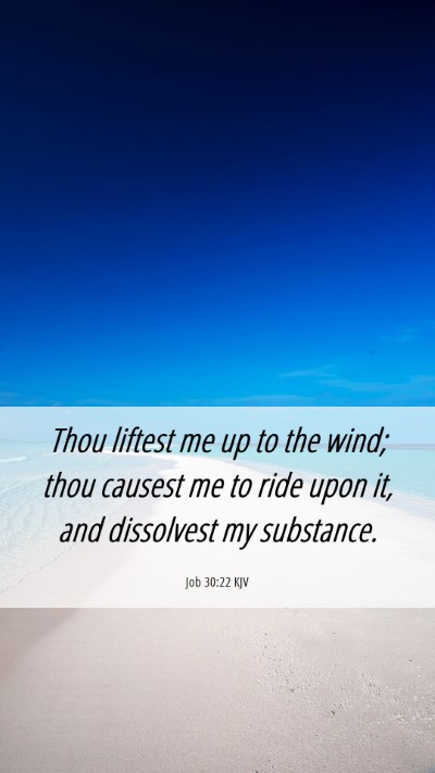 Picture 06 - Job 30:22 KJV Mobile Phone Wallpaper - Thou liftest me up to the wind; thou causest me - Mobile Bible Verse Wallpaper