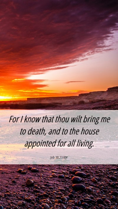 Picture 06 - Job 30:23 KJV Mobile Phone Wallpaper - For I know that thou wilt bring me to death, and - Mobile Bible Verse Wallpaper
