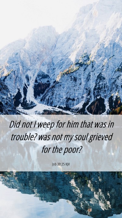 Picture 06 - Job 30:25 KJV Mobile Phone Wallpaper - Did not I weep for him that was in trouble? was - Mobile Bible Verse Wallpaper