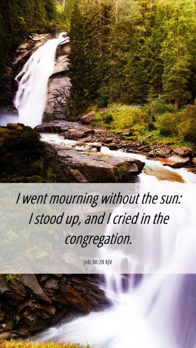 Picture 06 - Job 30:28 KJV Mobile Phone Wallpaper - I went mourning without the sun: I stood up, and - Mobile Bible Verse Wallpaper