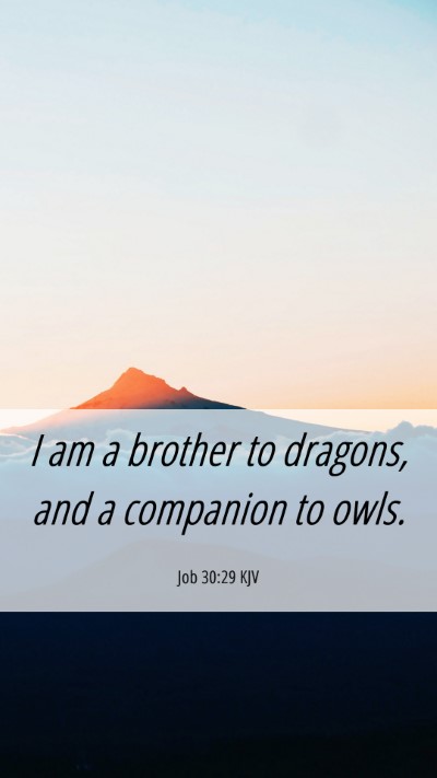 Picture 06 - Job 30:29 KJV Mobile Phone Wallpaper - I am a brother to dragons, and a companion to - Mobile Bible Verse Wallpaper